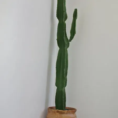 Calcada בית הארחה 3*