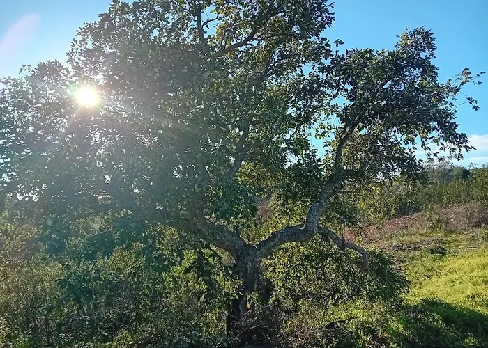 Calcada بيت ضيافة تافيرا