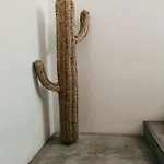 Calcada